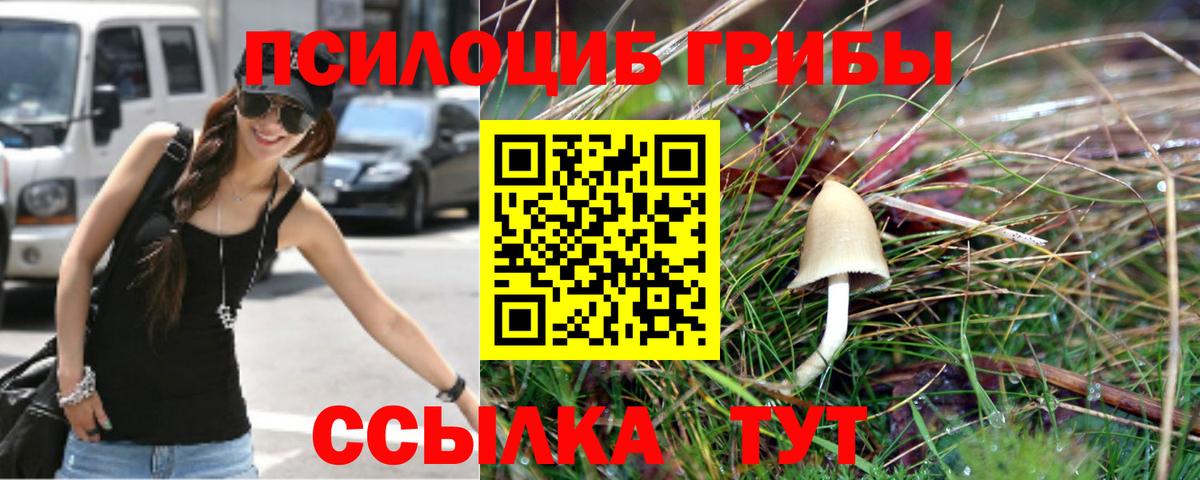 Псилоцибиновые грибы Cubensis  Вход с VPN  Нововоронеж 